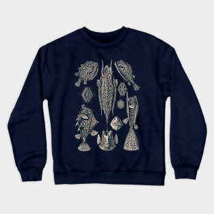 Ernst Haeckel Ostraciontes Fish Lavander Grey Crewneck Sweatshirt